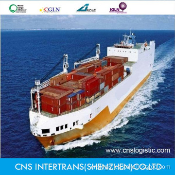 Excellent Service Shipping From China to Asuncion